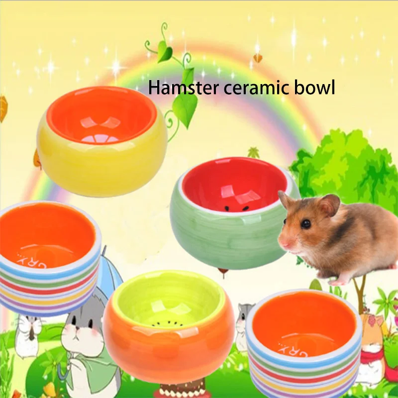 

SMARTPET Colorful Hamster Ceramic Bowl Small Pet Feeding Bowl Candy Chinchilla Round Bowl Suiting for All Small Pet