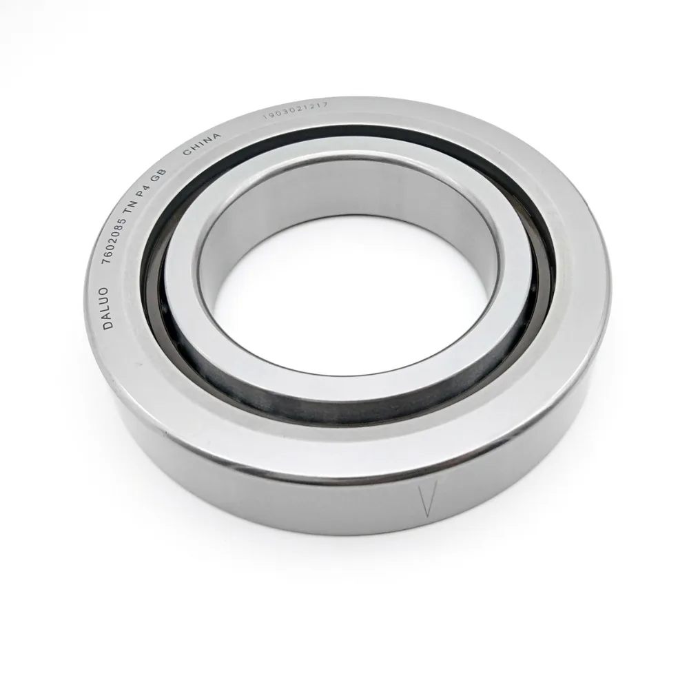 7602085 TN P4 GB DALUO BEARING 1
