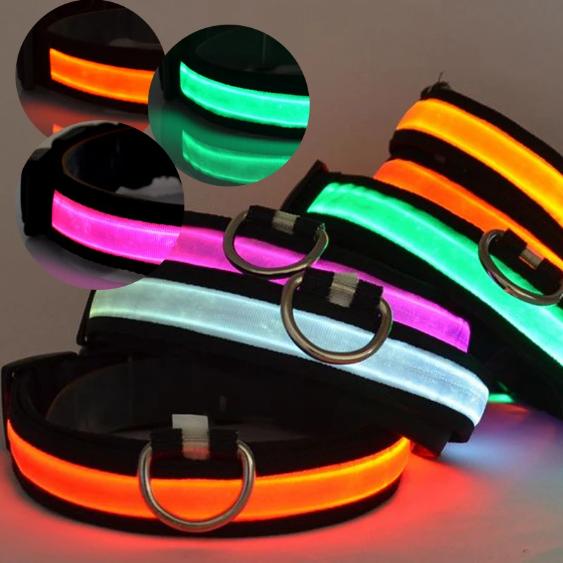 Buy Nylon LED Pet Dog Collar Night Safety Anti lost