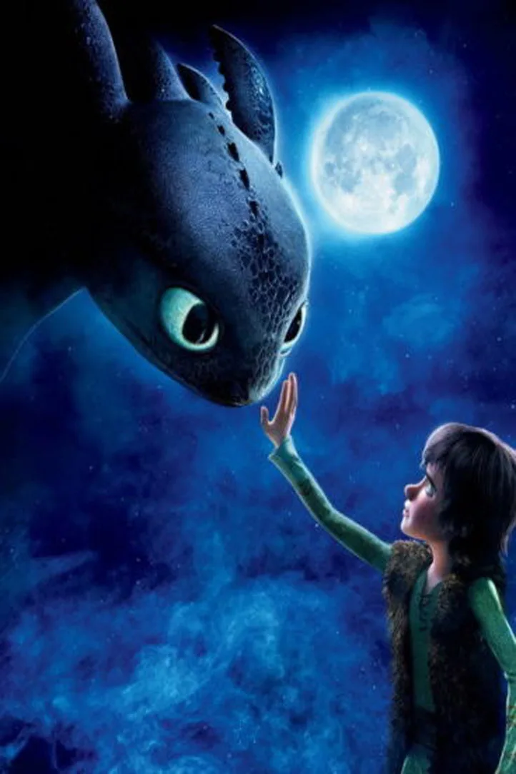 0382 How To Train Your Dragon 2 Hiccup Night Fury Hot Movie Wall