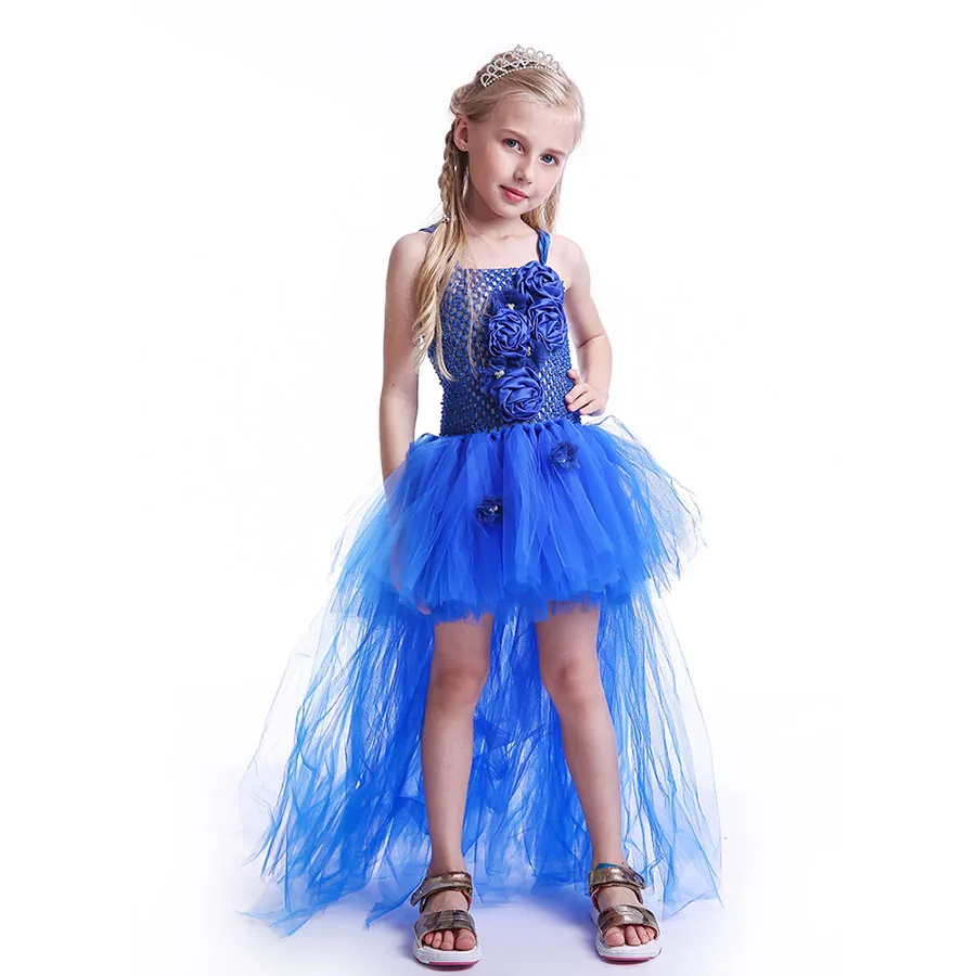 Kids Princess Blue Flowers Long Tail Tutu Dress Baby Girls Summer Tulle Wedding (2)
