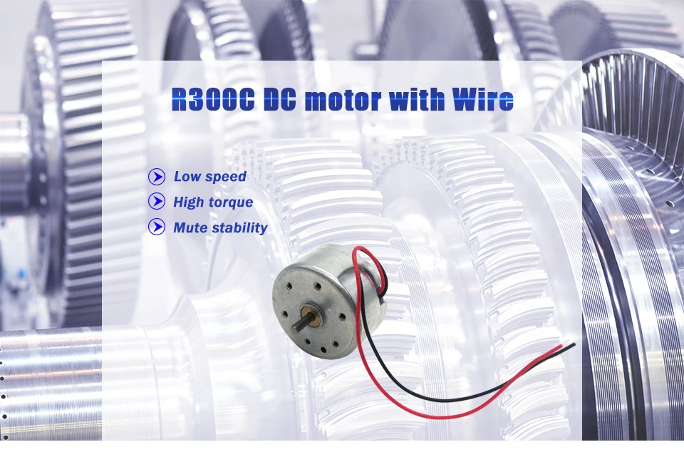 300-motor_01