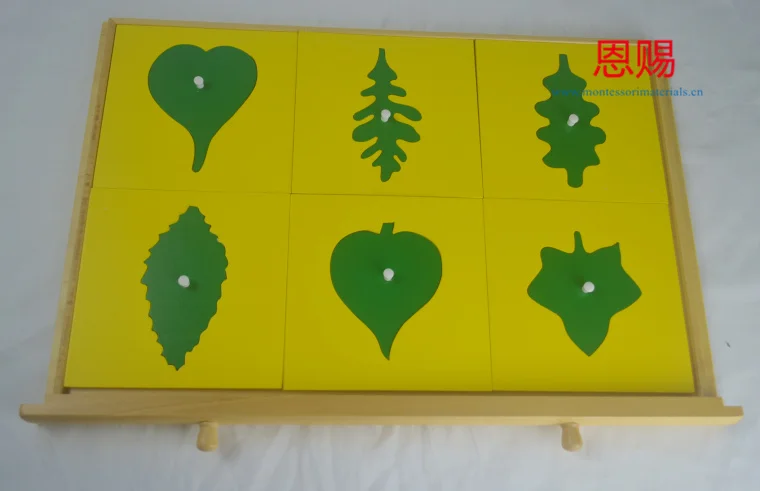7027 leaf cabinet  (5)