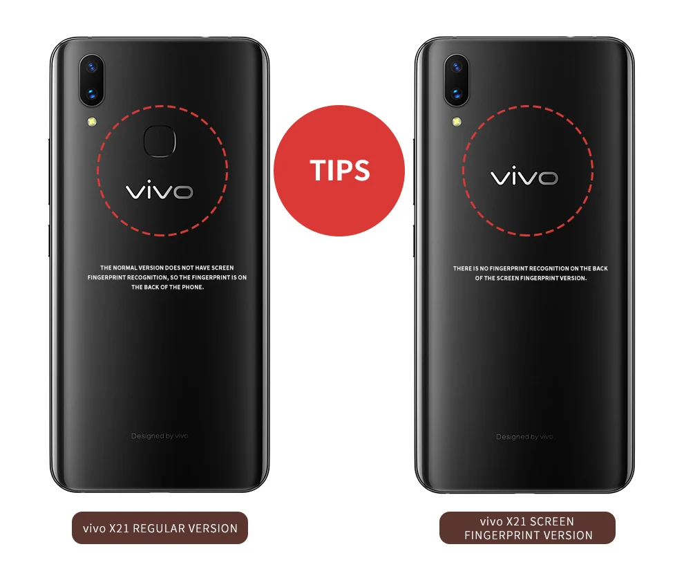 vivo-()_04