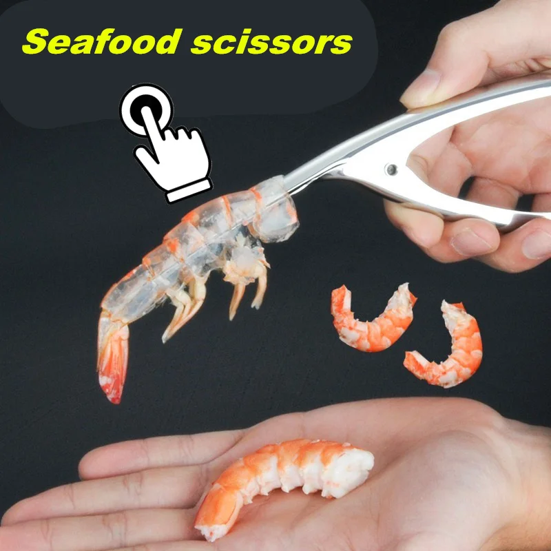 HTB1FZ5OlBjTBKNjSZFwq6AG4XXa3