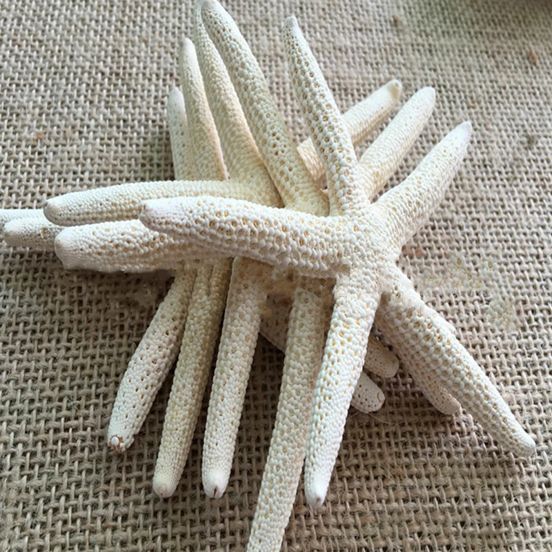 12pcs White Natural Finger Starfish Craft Decoration Natural Sea Star DIY for Beach Cottage Wedding Decor 7-11cm