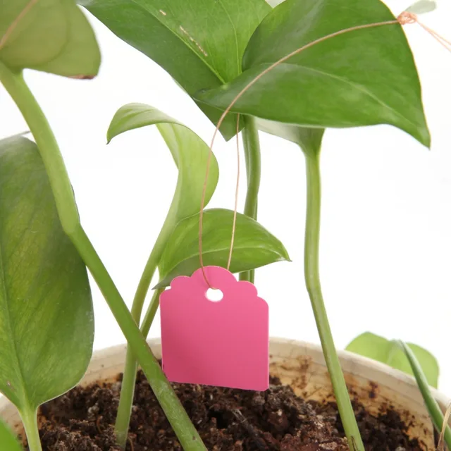 100Pcs Reusable PVC T-type Garden Plant Labels Waterproof Nursery Flower Tag Marker for Plants Garden Decoration