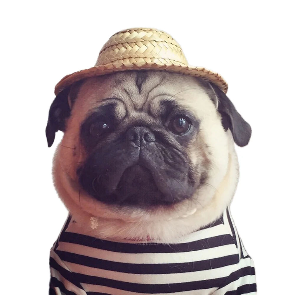 Летняя Гавайская Стильная кепка для собаки, соломенная шляпа для маленького питомца, уличная солнцезащитная Кепка, реквизит для фотосессии, аксессуары для домашних питомцев, Прямая поставка