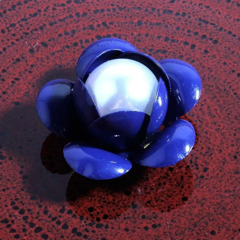2477363794_1128940352