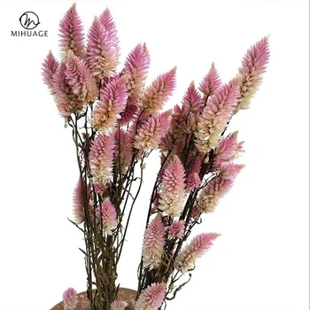 

MiHuaGe Phoenix Tail Flower Dried Bouquet Artificial Everlasting Flower DIY Art Flower Arrangement Bedroom Home Decoration