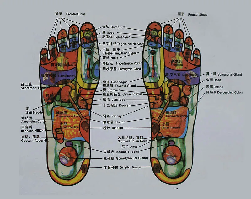 AoXunLong; Новое поступление; женские тапочки; Taichi Acupoint; обувь для магнитотерапии; домашняя обувь для ухода за здоровьем; нескользящие массажные женские шлепанцы