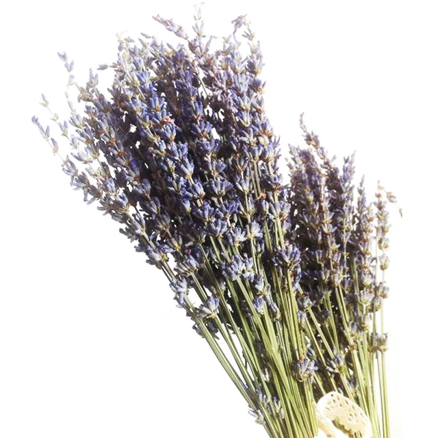 100pcs Bunch Real Natural Lavender Dried Flower Decorative Flowers 100pcs Bunch Real Natural Lavender Dried Flower Decorative Flowers Bouquet For Wedding Home Decorations Valentine S