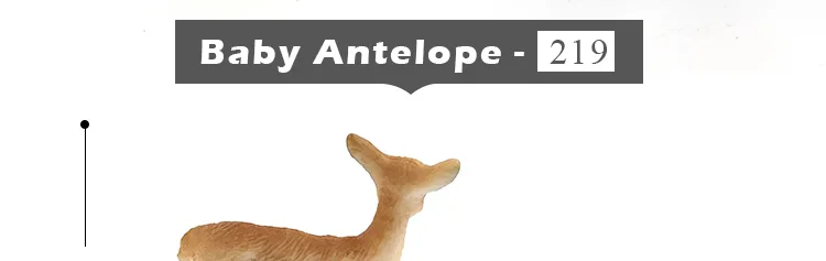 -10--DW-M-MY89-114-120_35