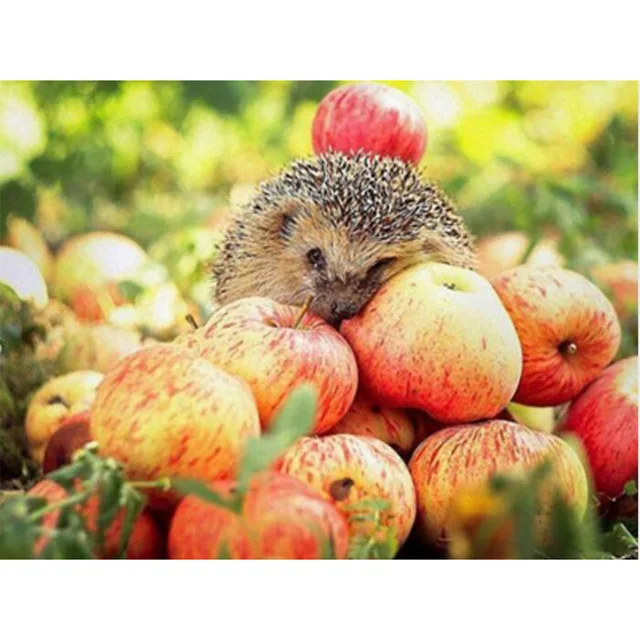 

new Diamond Embroidery Full Square/Round Drill Hedgehog Pattern Diy Painting Cross Stitch Home Decor Children Gift fc115