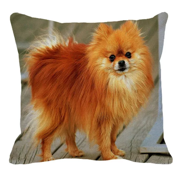 XUNYU Pomeranian Print Linen Pilllowcase Home Sofa Square Cushion cover Animal Dog Pattern Pillow cover AC105 - Цвет: 10