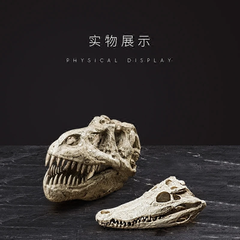 Динозавр Fossil череп моделирование животных модель украшения гостиной ТВ шкаф