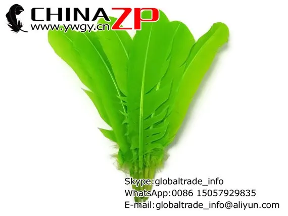 Quill Feathers, 6 Pieces - LIME GREEN Turkey Rounds Quill Feathers2