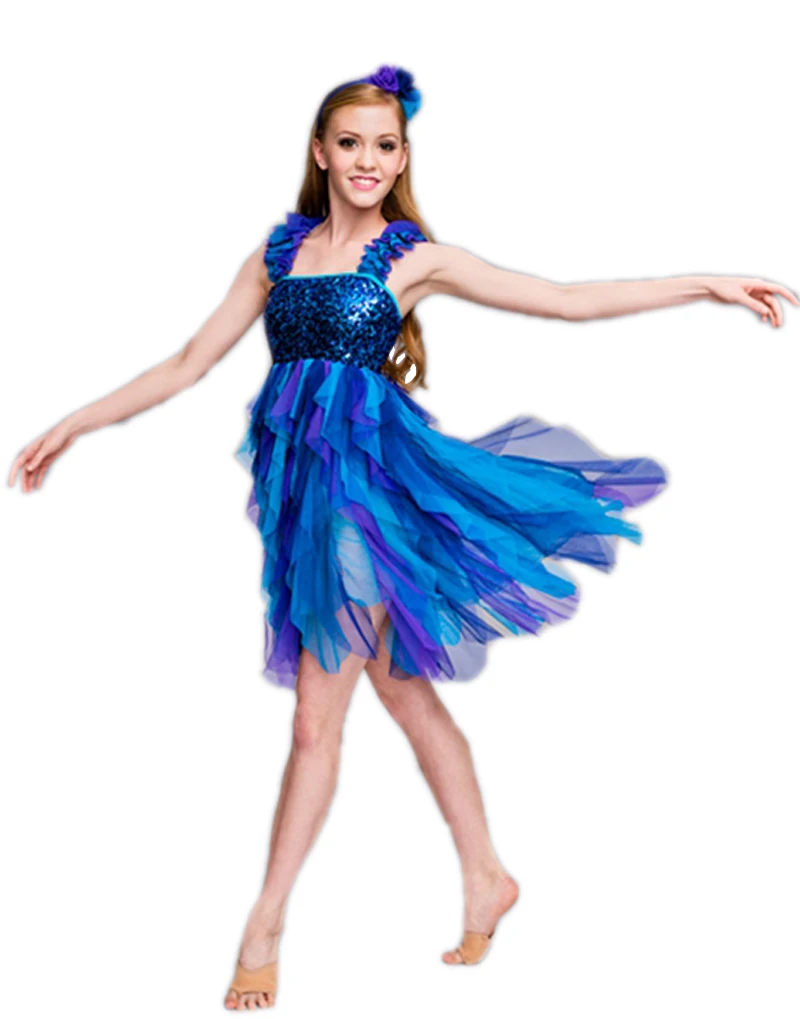 Women Blue Professional Adult Long Sleeves Ballet Dancer Dresses Stage