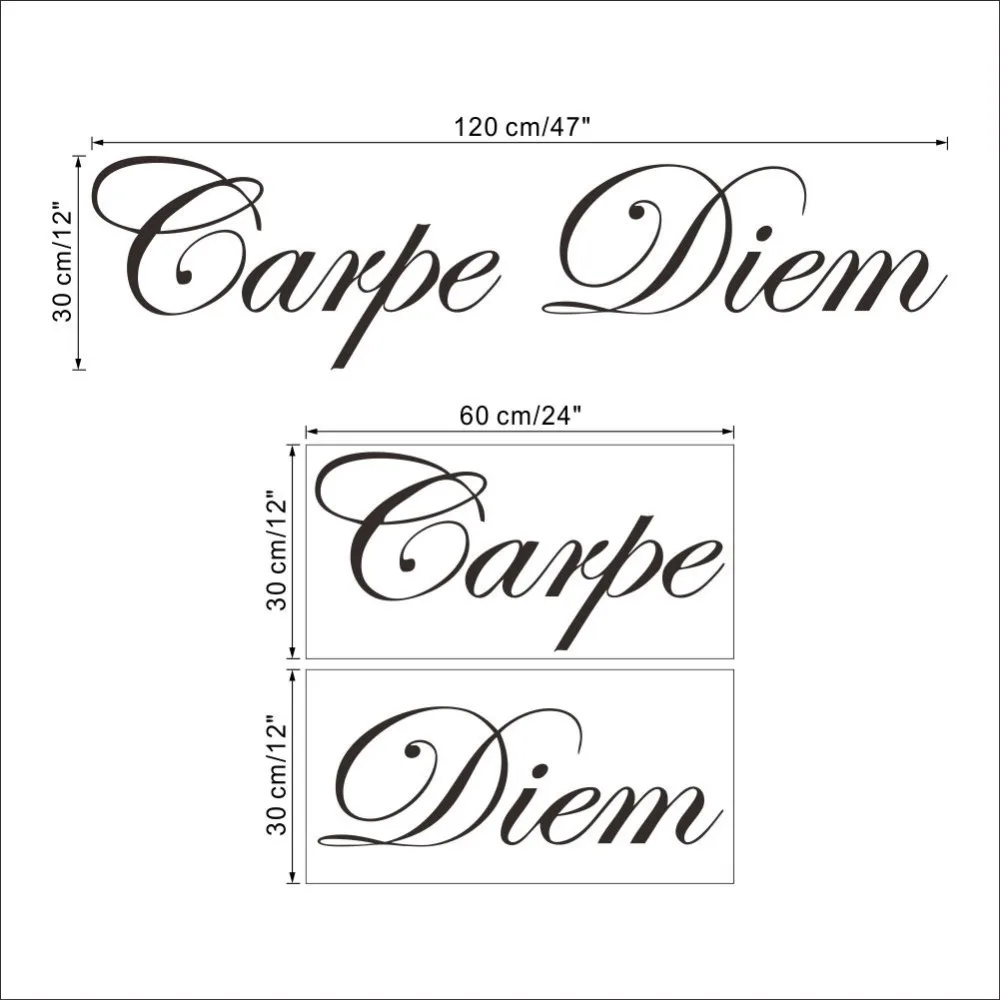 Carpe Diem Englisch Sagen Zitate Wasserdichte Pvc Wandaufkleber