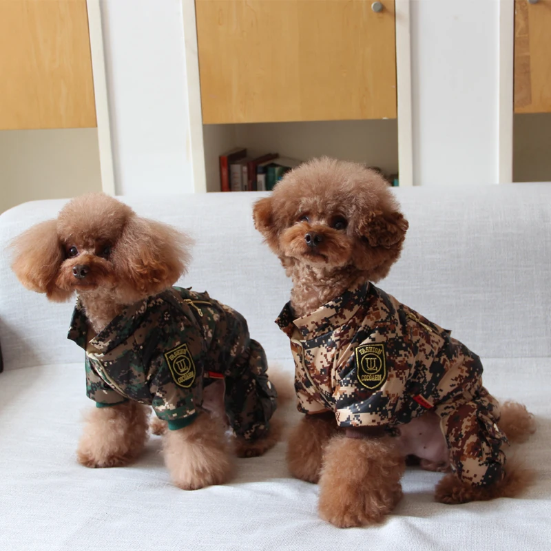 Bigeyedog собачья куртка камуфляжная одежда для собак зимнее пальто Одежда для щенков ropa perro теплый комбинезон пудель одежда для домашних животных