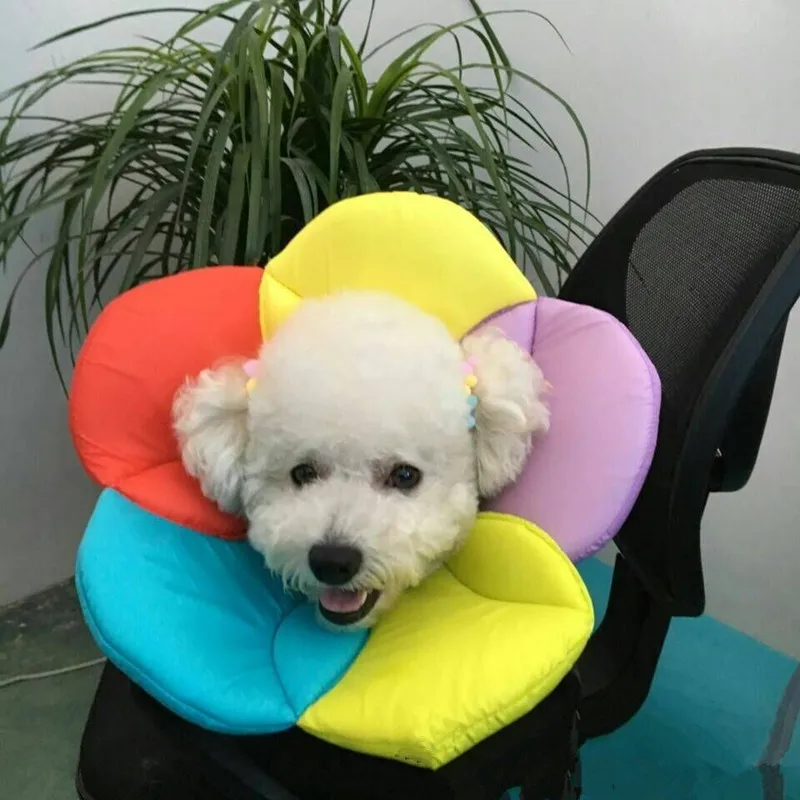 anti bite