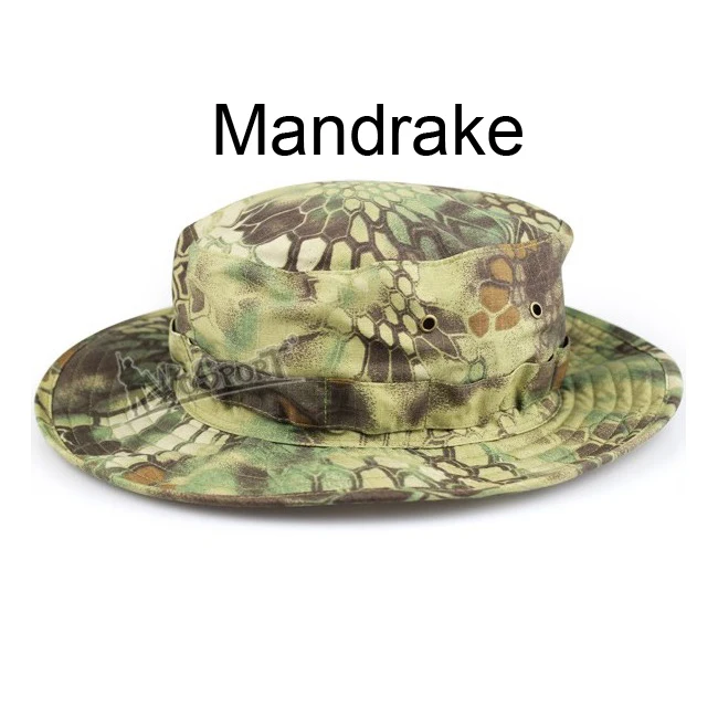 Mandrake