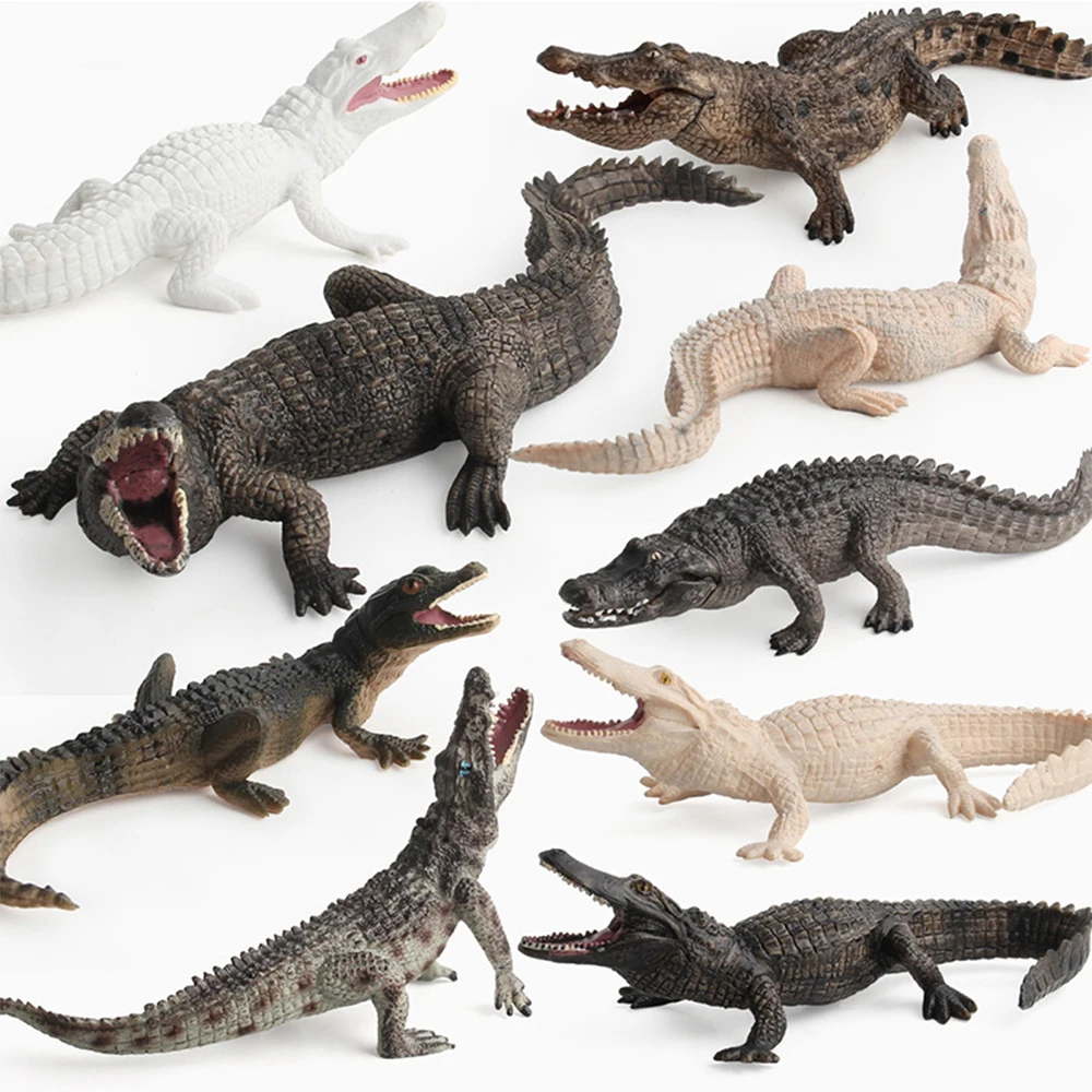 

Simulation Animals Toys Crocodile Model Action Figures Children Kids Toy Gift Educational Toys Figures Figurine Home Decor Dolls