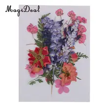 Несколько красивых реальных пресс ed цветок сухоцветы пресс листья для художественного ремесла Скрапбукинг Смолы Ювелирные изделия Чехол для телефона Мыло DIY