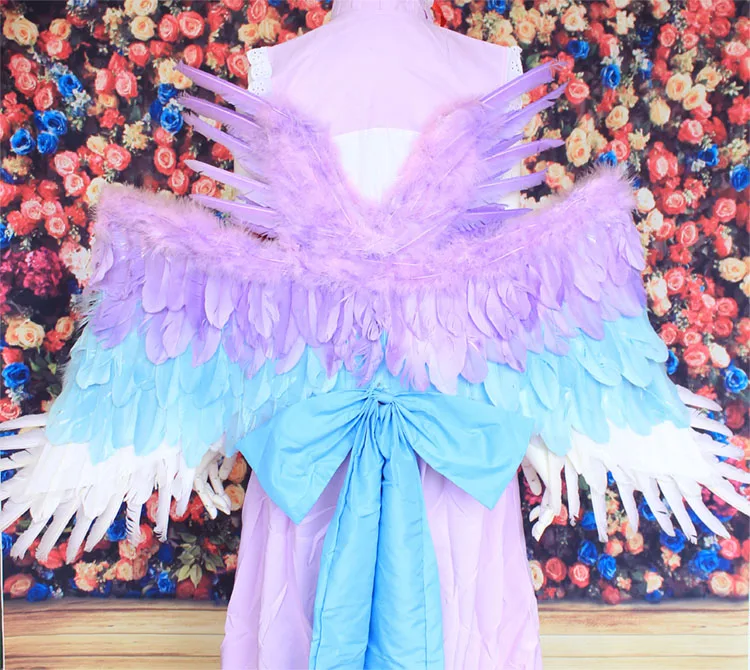 colorful wings
