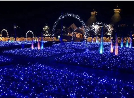 9239355725_1681222237