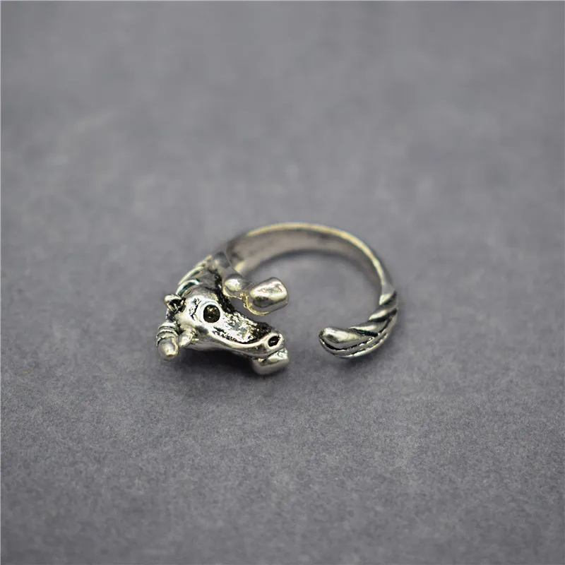 HTB1dGR_KACWBuNjy0Faq6xUlXXaD