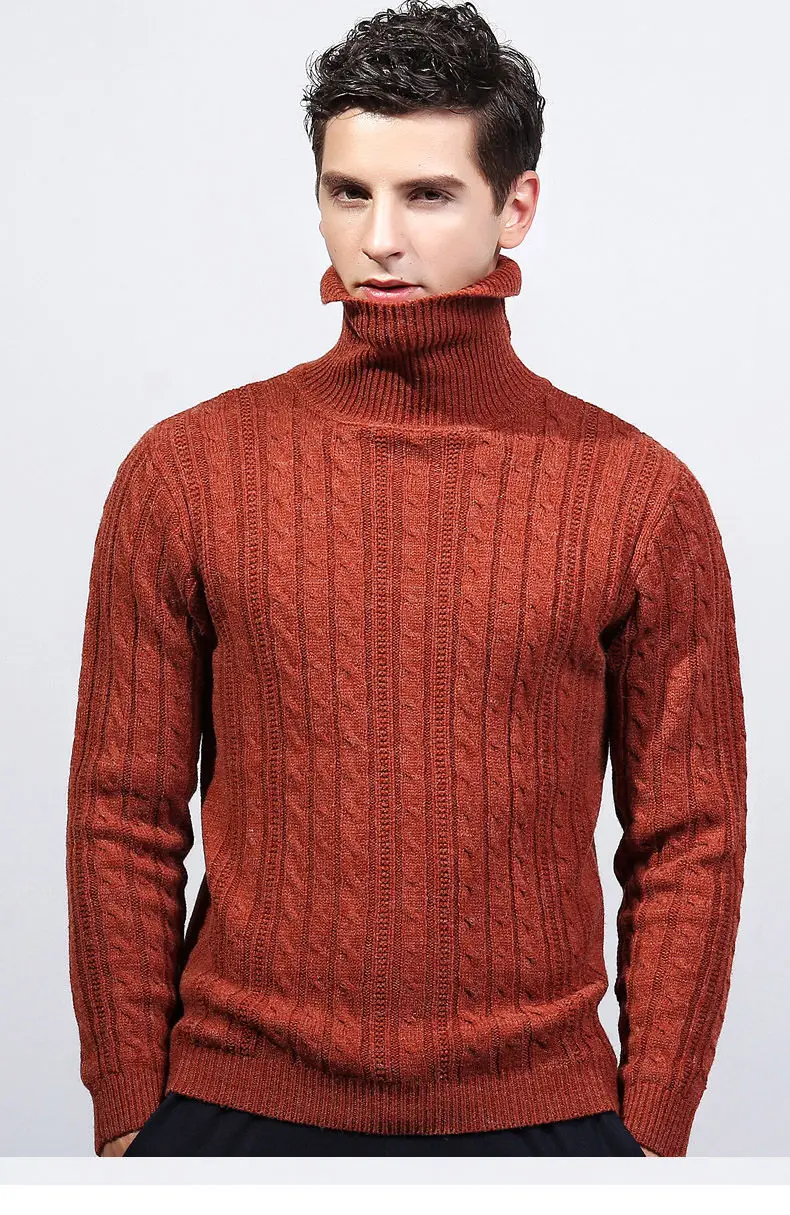 3Colors Turtleneck Sweater Pullovers Men Thick knitted Sweater Jumpers Man Winter Warm Acrylic Male knitwear Autumn Tmall Brand-11