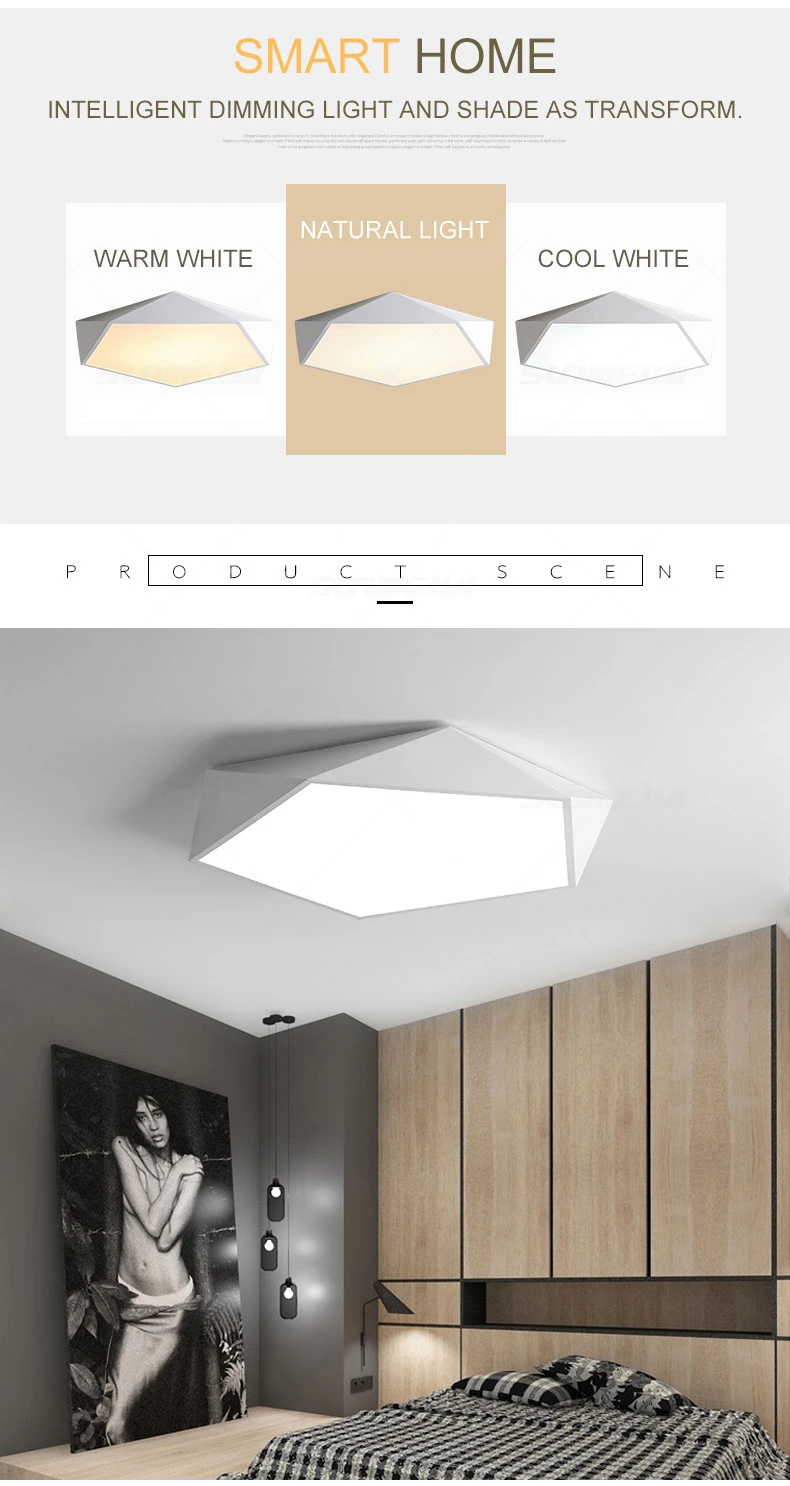 Ceiling Lights 2