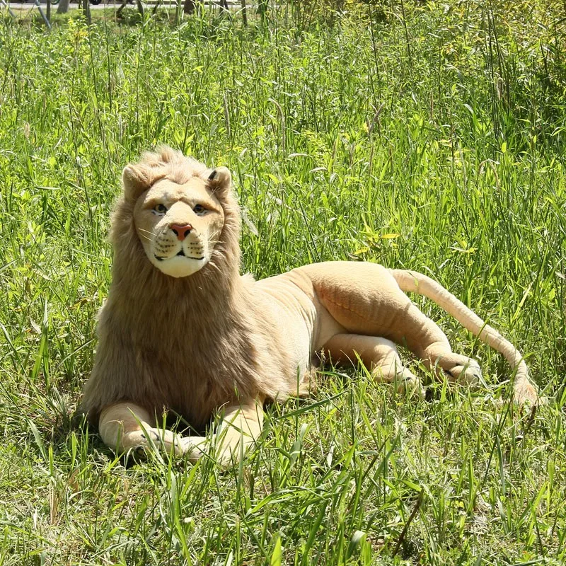 HTB1e0O5t9BYBeNjy0Feq6znmFXaA