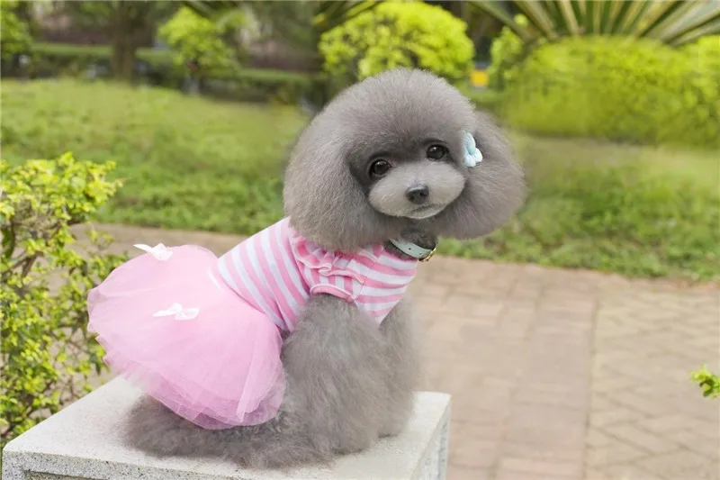 Y04_Sweaty_Small_Dog_Dress_Cute_Pet_Dog_Puppy_Stripe_Bow_Lace_Tutu_Dress_Princess_Pet_Skirt_for_Chihuahua_Yorkshire_ (4)