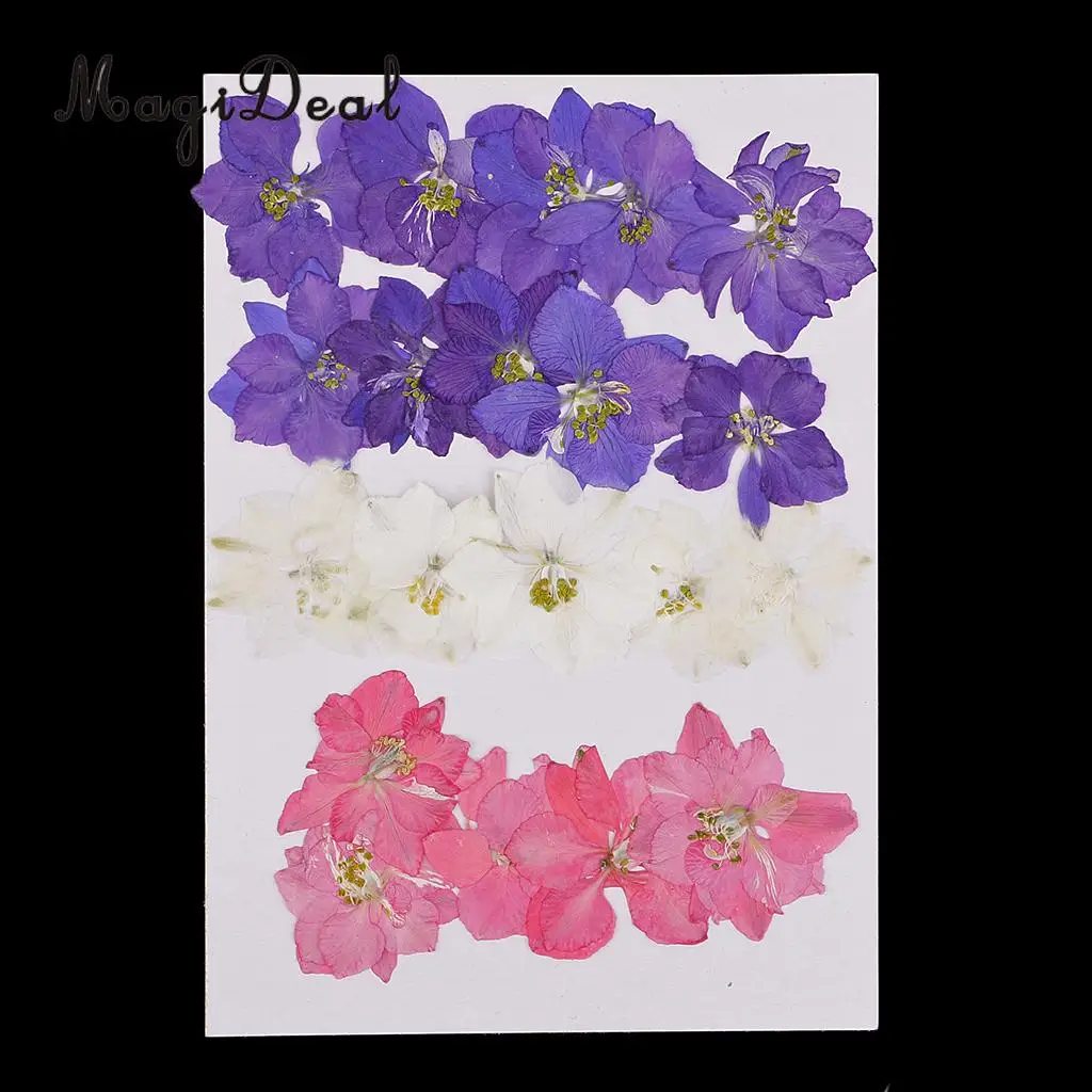 

20pcs Pressed Dried Flower Real Flower Delphinium Scrapbooking Embellishments for Jewelry Making DIY Ornament