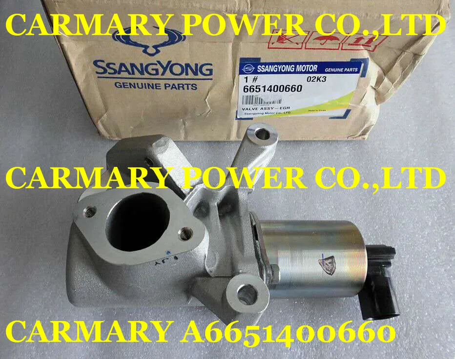 Kyron ssangyong egr