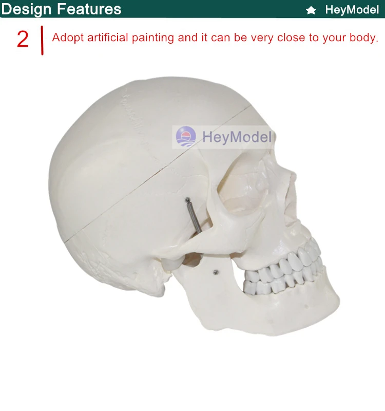 2. _