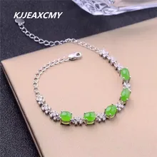 KJJEAXCMY ювелирные изделия нефритовый браслет, 925 Серебряный декор, натуральный и Тянь Biyu браслет, ювелирные изделия из стерлингового серебра