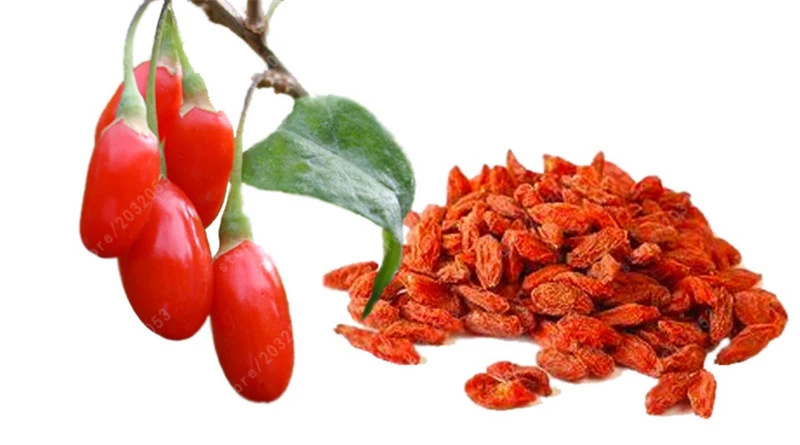 

Lycium barbarum goji berry BONSAI goji (Wolfberry) organic fruit for home garden high germination rate