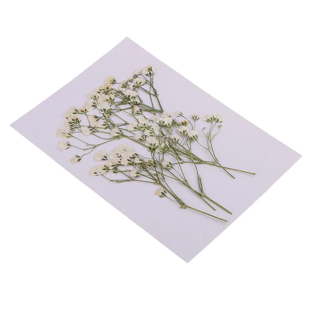 

10x Pressed Dried Flowers Real Babys Breath For DIY Art Crafts Scrapbooking Artificial Decorations