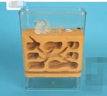 

Professional Ant Nest With Composite Plaster Ecological Nest Ants Farm Insect Nest Ecology Ant Habitat Castle Kid Scientific Toy