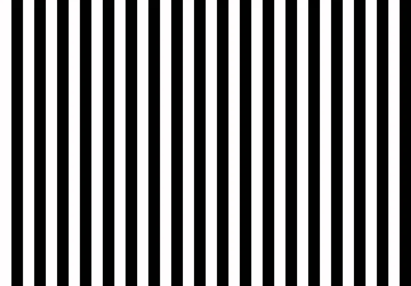 New Arrive Hot Sale white black stripes Photo Backdrops Photo Studio