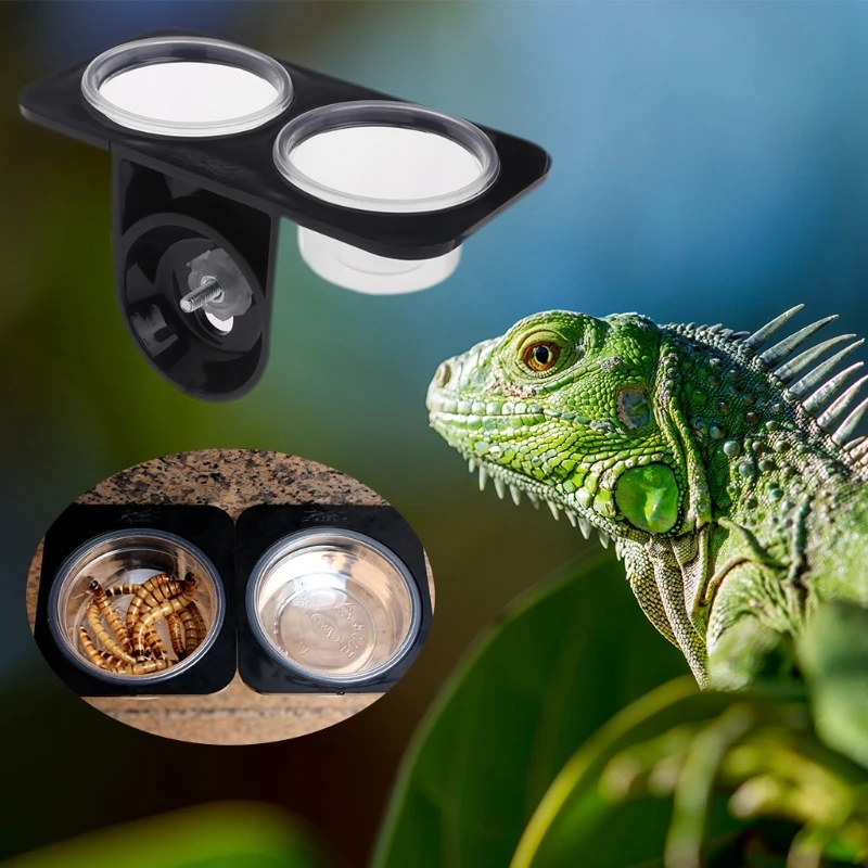 

Reptile Feeder Single Double Feeding Bowl Food Water Breeding Dispenser Plastic