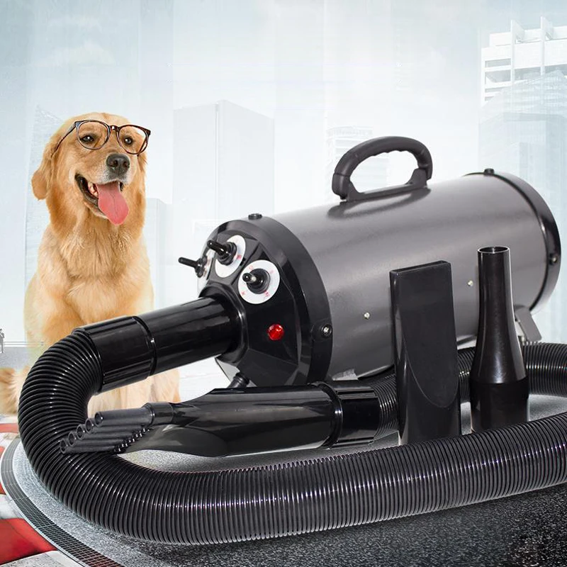 Buy Premium Large Power Pet Hair Dryer Set Dog/Cat