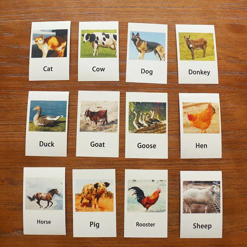Montessori Infant Toys Poultry Animals Cards Learning Educational Toys for Toddlers Flash Card Juguetes Brinquedos YJ1244H