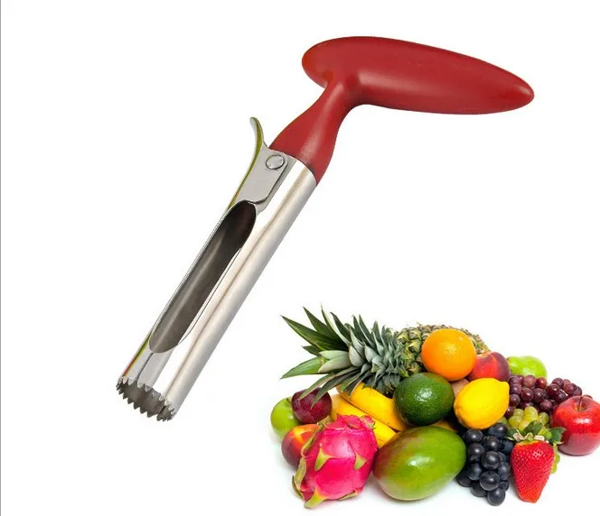 1PC S/Steel Core Remover Apple Corer With PP Holder Pear Pitter Fruit