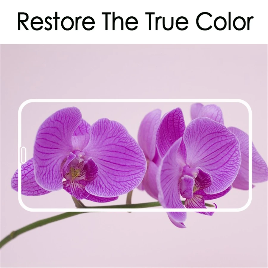 protector glass xphone 10x 10xr sx protective glas film tempered