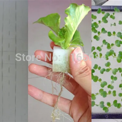 

garden supplies hydroponic seeds vegetables foam cubes pot for starting seed for hydroponics system2.3*2.3 (117PCS/lot).