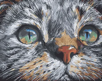 

Frameless painting by numbers paint by number for home decor PBN for living room 4050 kitty
